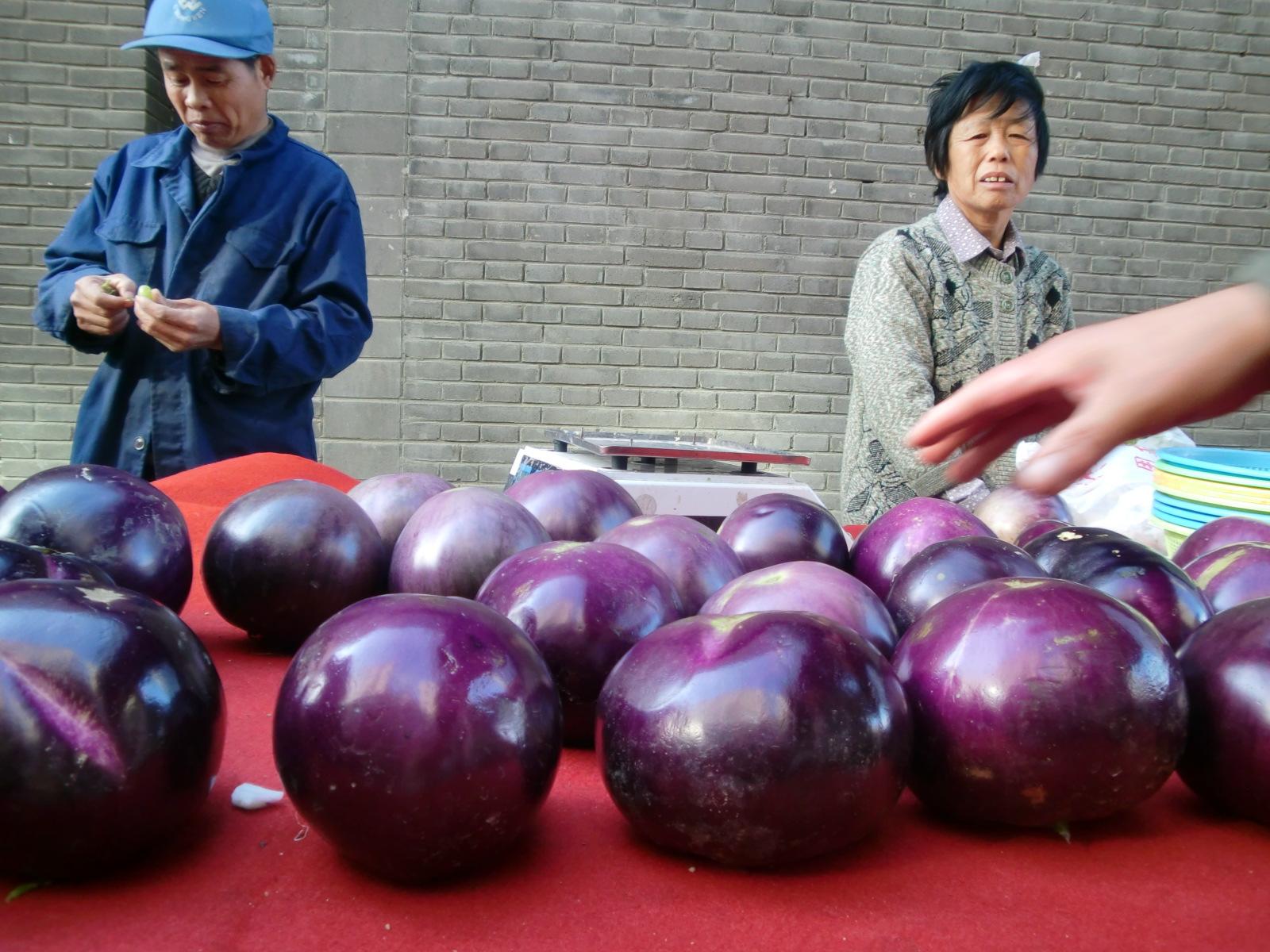 �֎q�̑傫���͔��[�ł͂���܂���ł����B���s�͌ߑO8�����Ƀs���s���ƂȂ�J�̍��}�ŏI�����܂��B